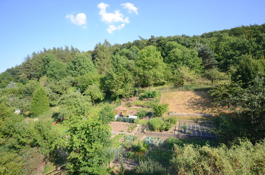 Pension Burk Hotel Bad Endbach Kamer foto